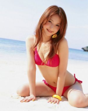 完美世界高清樱花动漫