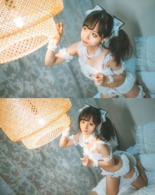 花蝴蝶高清完整
